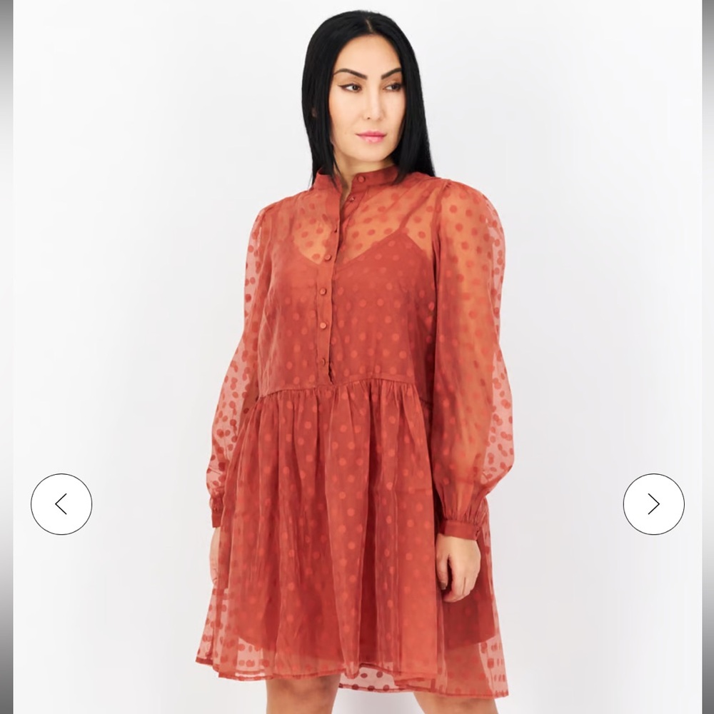 En Saison Mesh Polka Dot Dress and Liner